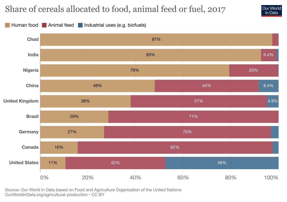A horizontal bar chart showing the share of cereals allocated to food, animal feed or fuel in 2017. Selected countries are sh